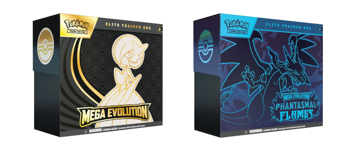 Elite Trainer Boxy