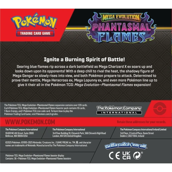Pokémon TCG: Mega Evolution - Phantasmal Flames - Booster D